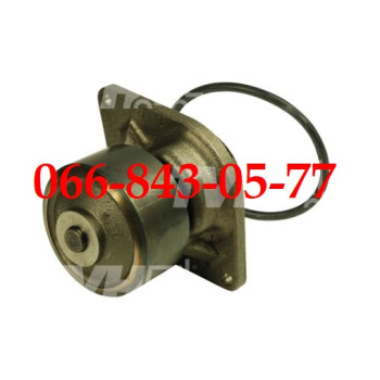 00003334419 ВОДЯНАЯ ПОМПА, НАСОС ВОДЫ GROVE AMZ131XT GRADALL 534D10-45 534D9-45 FIAT 8400 CLARK 980 CATERPILLAR 720B 720D BOMAG BW12R BW16R BW20R BOBCAT 980