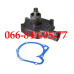 000033344614 ВОДЯНАЯ ПОМПА ПОГРУЗЧИКОВ, ЭКСКАВАТОРОВ COLES DYNAPAC 4000 5000 GROVE 408 415 518 522 615 620 625 628 HANOMAG 400 33 35 KOMATSU PC120-5 HYSTER C200 225 250