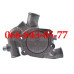 000033345242 ВОДЯНАЯ ПОМПА ПОГРУЗЧИКОВ MANITOU 150 165 170 20 25 30 LINDE H30D JCB ТРАКТОРОВ LANDINI CASE MASSEY FERGUSON