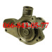 000033345725 ВОДЯНАЯ ПОМПА МОТОРОВ FORD 2724E FORD LEHMAN FORD DOVER