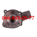 000033346005 ВОДЯНАЯ ПОМПА МОТОРОВ КОМБАЙНОВ CLAAS CONSUL CORSAR COSMOS EUROPA MATADOR GIGANT/STANDART MERCATOR 50/60/70 MERCUR PROTECTOR SENATOR