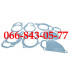 000033346601 РЕМКОМПЛЕКТ ВОДЯНОЙ ПОМПЫ ДВИГАТЕЛЕЙ КОМБАЙНОВ SAMPO ROSENLEW 500 580